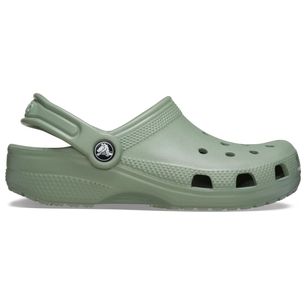 shoe img