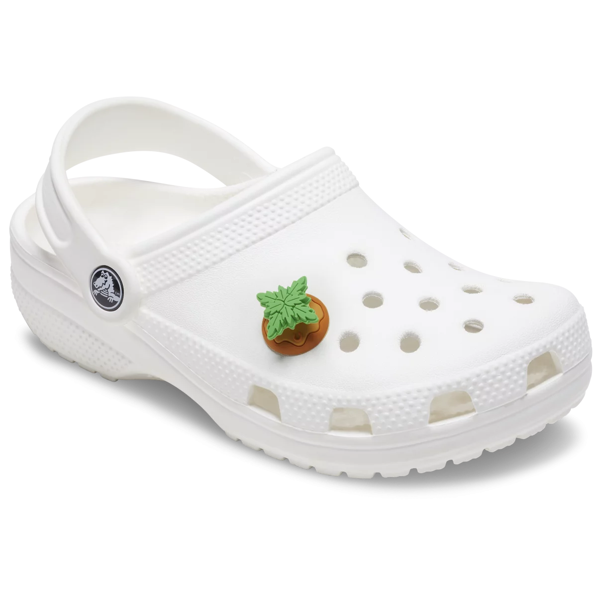 shoe img