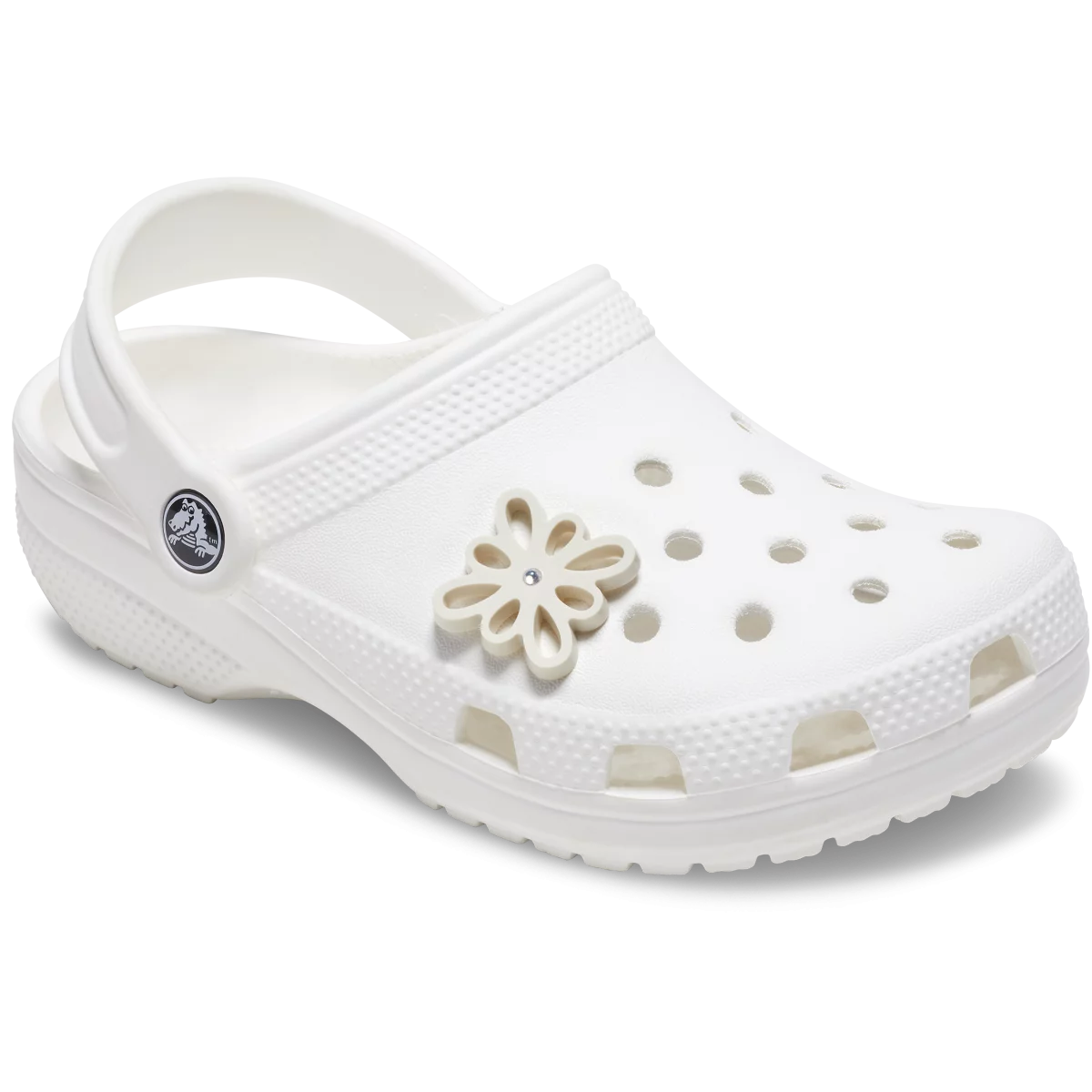 shoe img