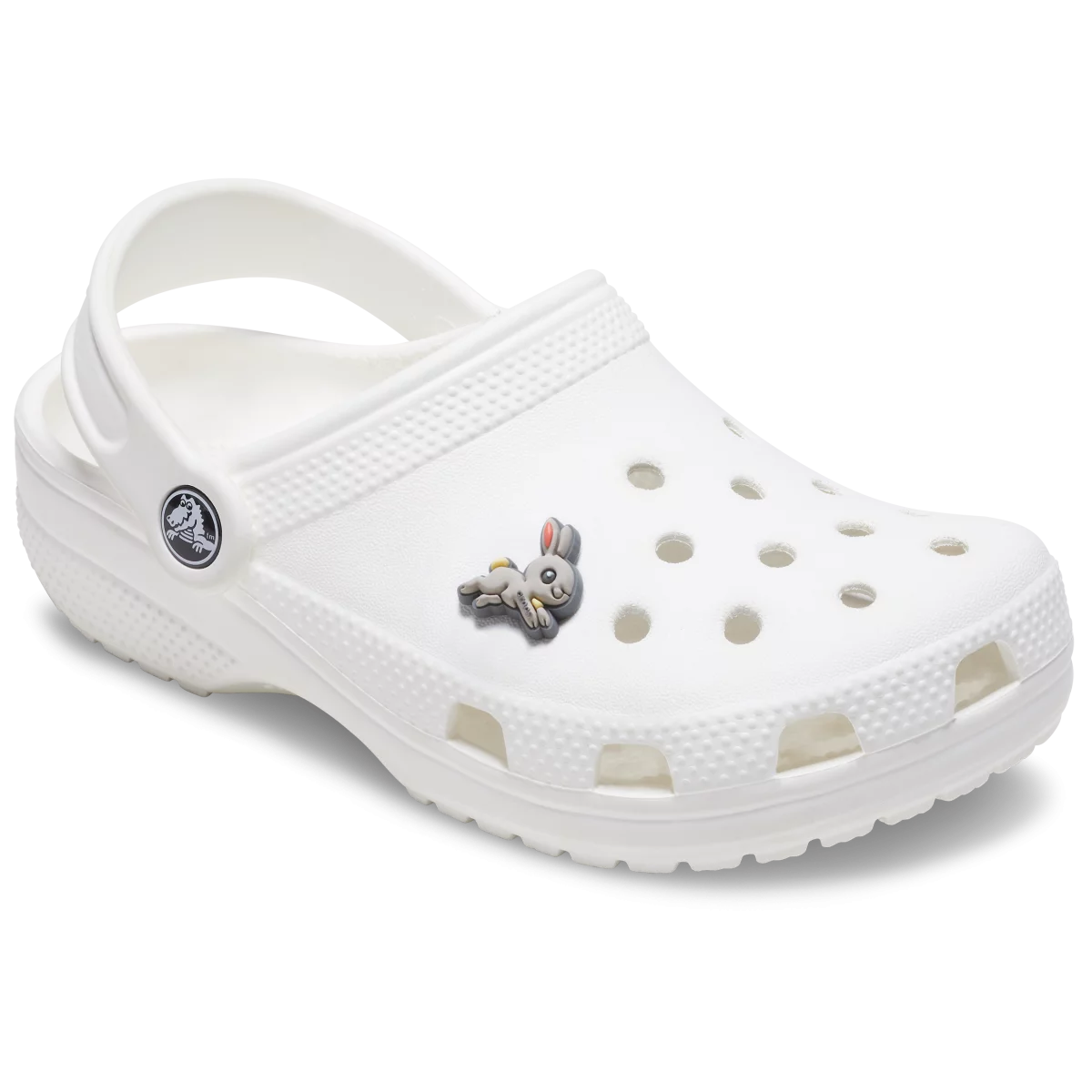 shoe img
