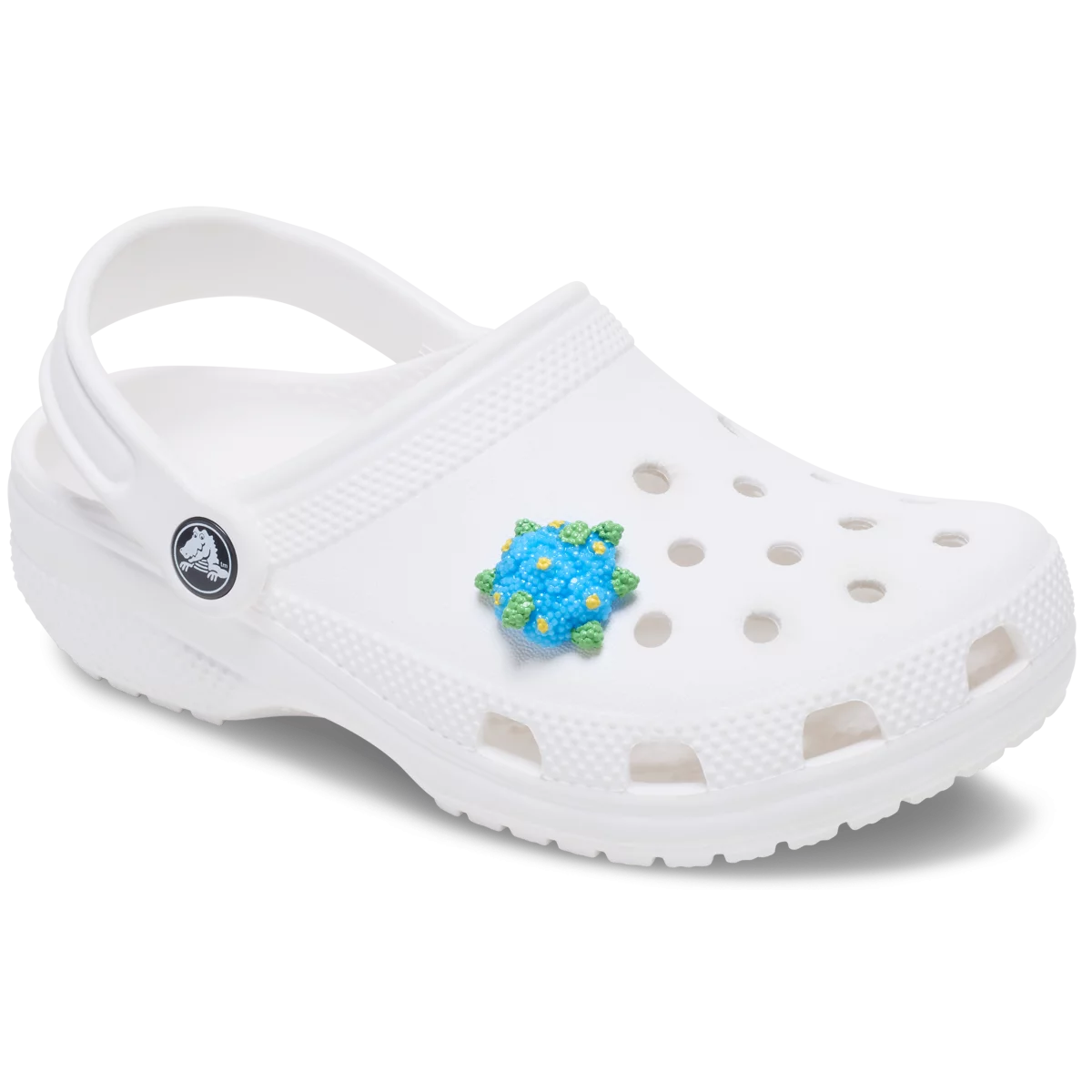 shoe img