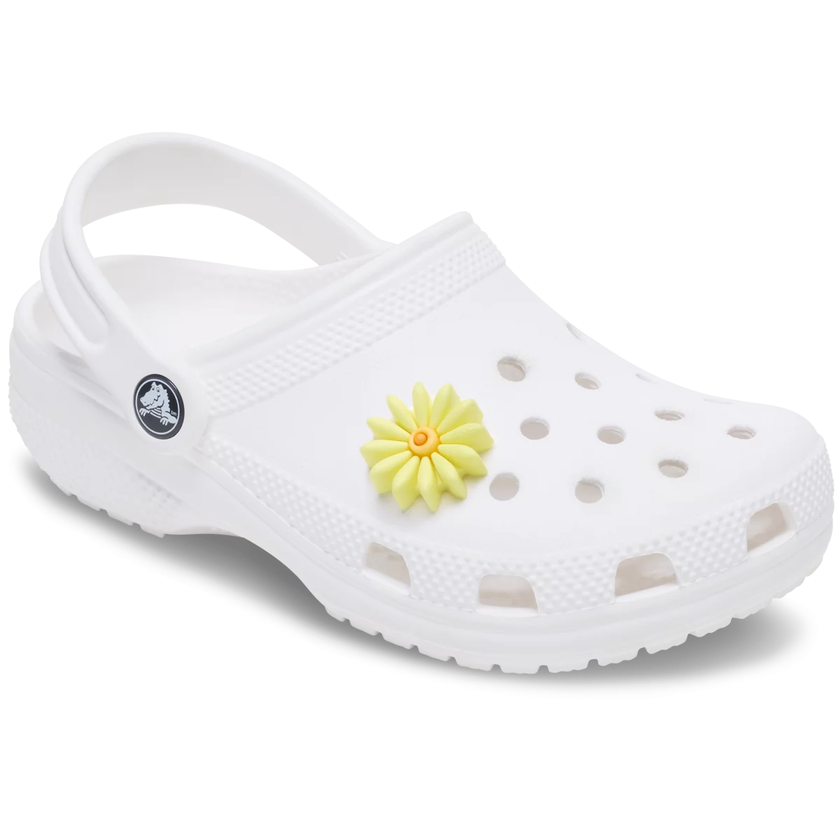 shoe img