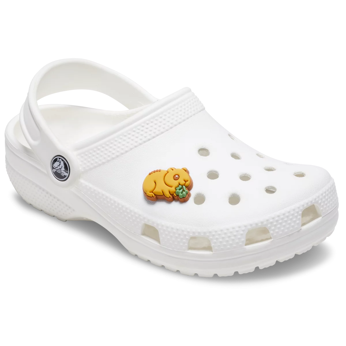 shoe img